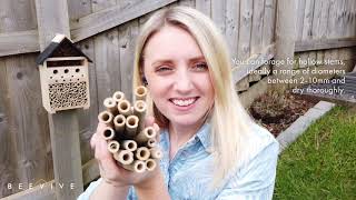 The top 20+ how to maintain a bee hotel