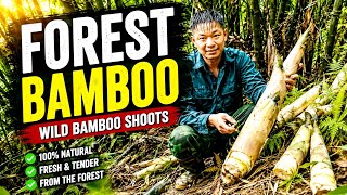 Heading into the forest to forage for bamboo shoots (Part 2)