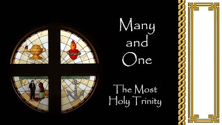Many and One ©, 2008,  Steve Angrisano, Sarah Hart, Dwight Liles