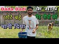 Aaj Dada Dadi ke sath milkar पेड़ पौधो ko paani diya 🌳❤️ | Rohit Yadav Vlogs #rohityadavlogs24