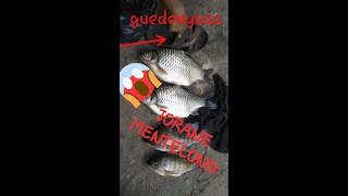 Mancing ikan tawes kali larangan (kali klawing)