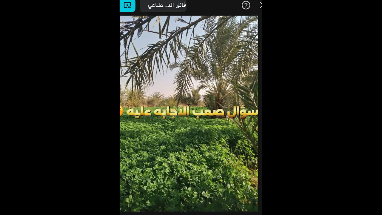 السؤال الصعب صعيدي والا بارحي والا مجدول