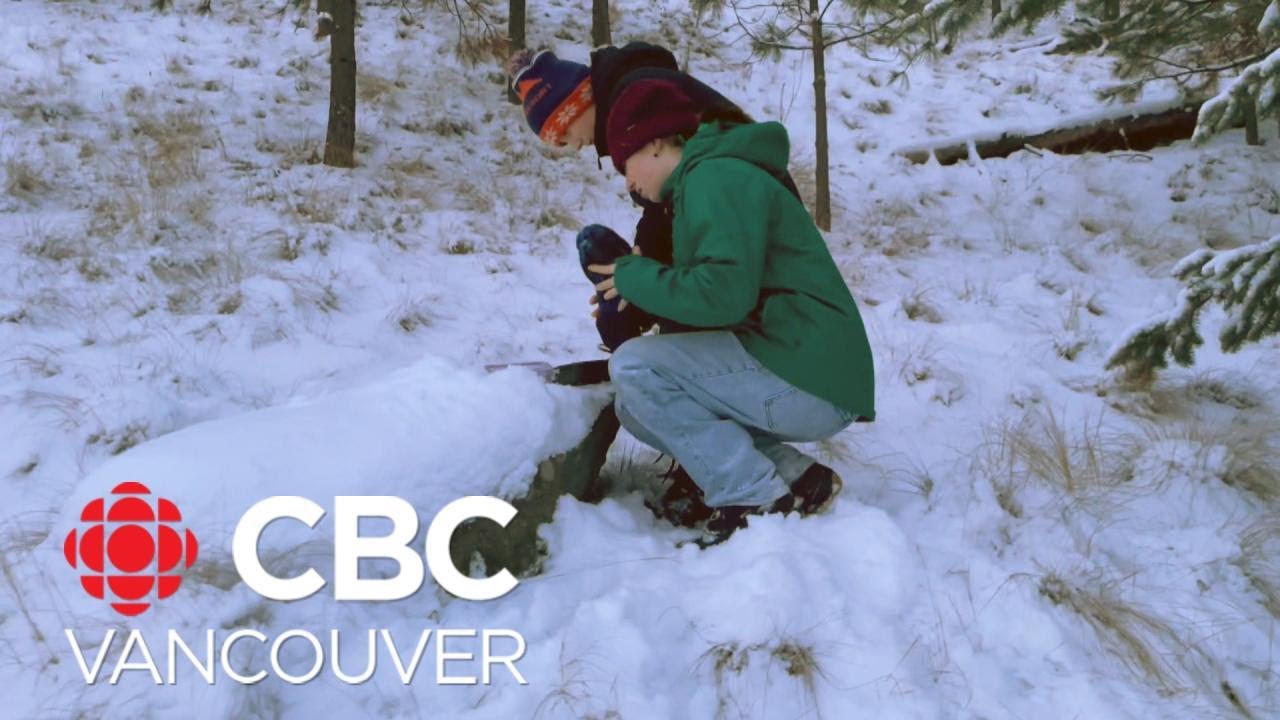 B.C. siblings set out to restore broken geocaches