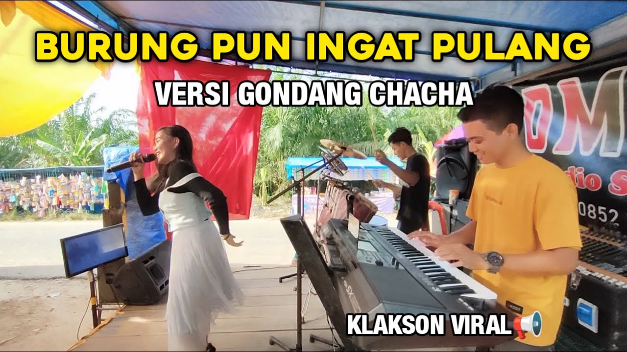 KLAKSON VIRAL!!! BURUNG SAJA TERBANG TAK LUPA PULANG VERSI GONDANG NOSTALGIA  - VIRAL DI TIKTOK
