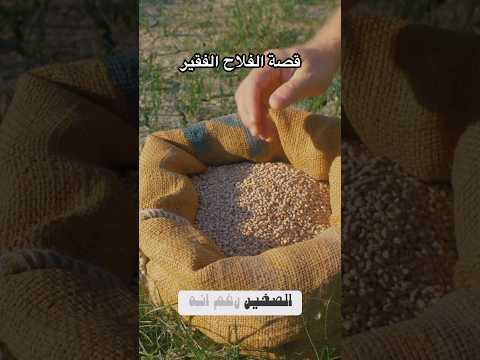 قصص قرية صغيرة فلاح فقير محصول قليل بذور جديدة الصبر مفتاح النجاح Youtubeshorts