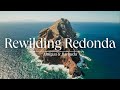 Rewilding Redonda Island