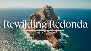 Rewilding Redonda Island