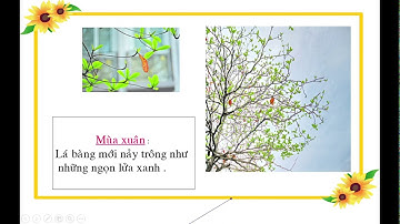 Tập làm văn lớp 4 tuần 23:Luyện tập miêu tả các bộ phận của cây cối (tt) - Giáo viên: Lưu Thị Thủy