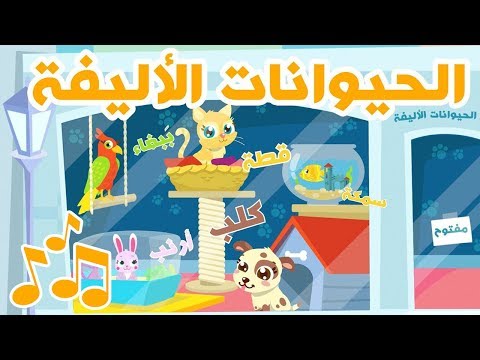 الحيوانات الأليفة –  فيديوهات تعليمية باللغة العربية |  Learn Pets in Arabic for Kids