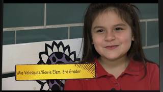 Character Counts Responsibility - Elementary
