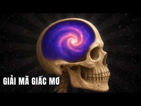 Điều Gì Xảy Ra Với Não Bộ Khi Bạn Đang Mơ? Khoa Học Cho Giấc Ngủ