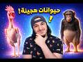 حيوانات هجينة خلطات الحيوانات