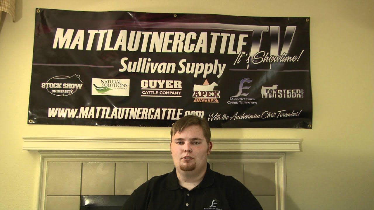 American Royal Jr. Steer Show Preview on MLC TV YouTube