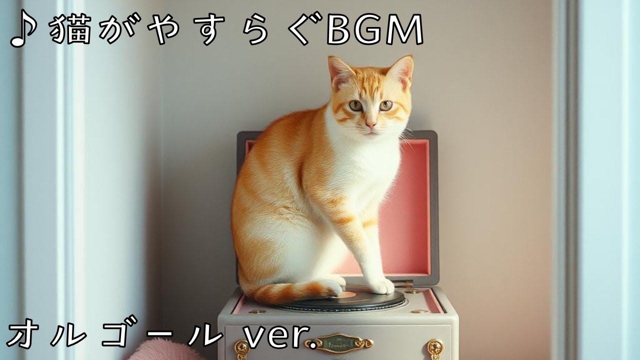【猫がやすらぐBGM オルゴール ver.10】