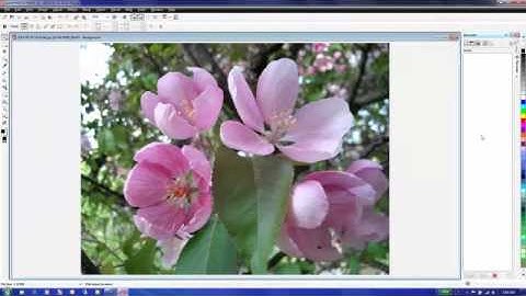 Quickly Resizing Large Numbers of Photos