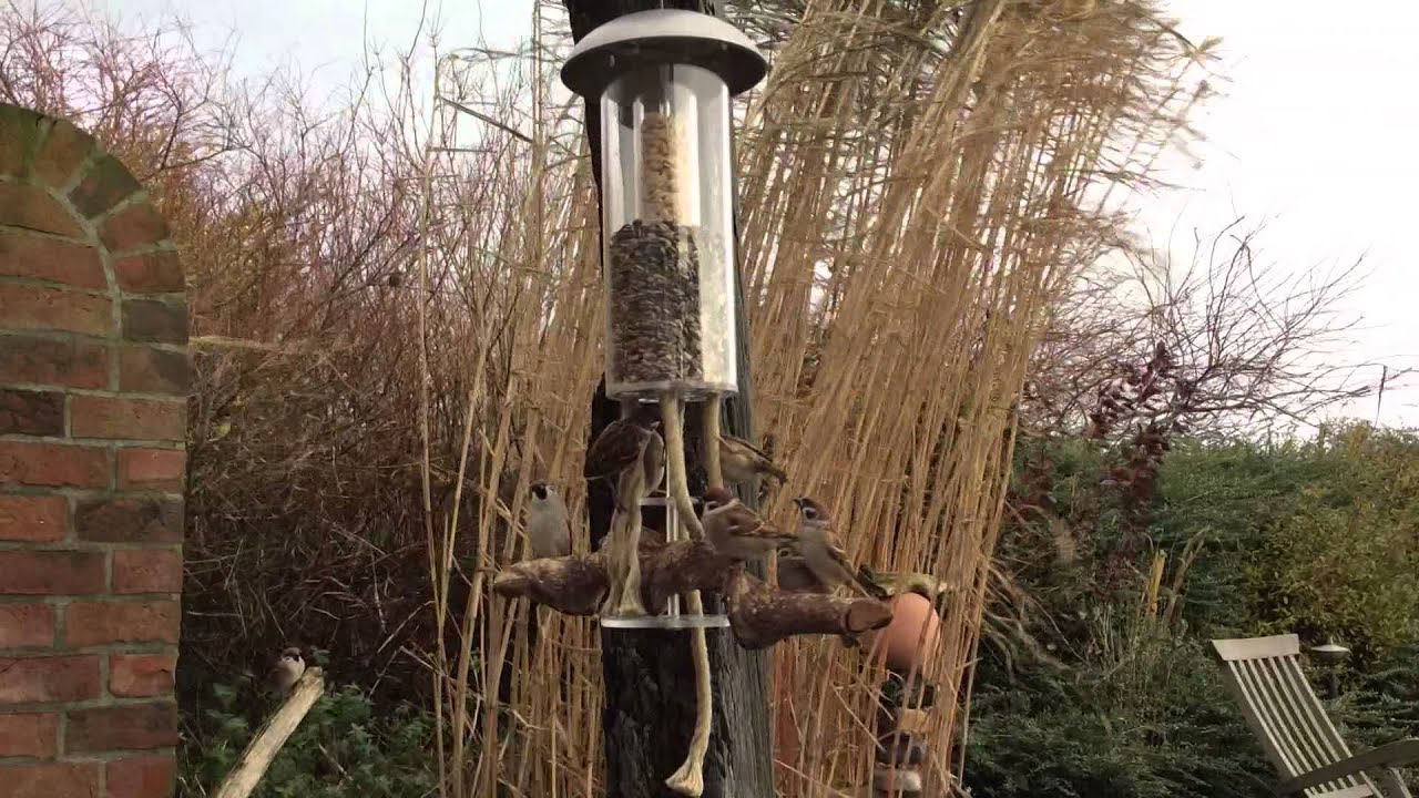 Viiwi Futterturm, bird feeder Vogelfutterstation Vogelfutterspender