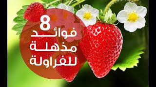 فوائد الفراولة على صحتك