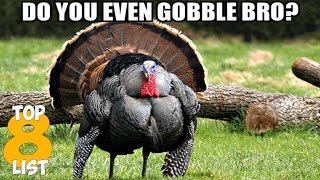 Top 8 Lesser Known Thanksgiving Facts