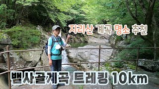 지리산국립공원 뱀사골계곡 | 가볍게 걷는 여름 계곡 트레킹 | 반선에서 병풍소까지 왕복 10km