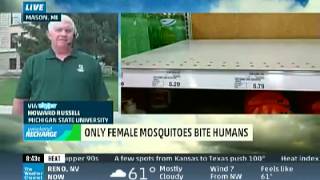 Howard Russell (Bugman)  Michigan State University  Mosquito Report