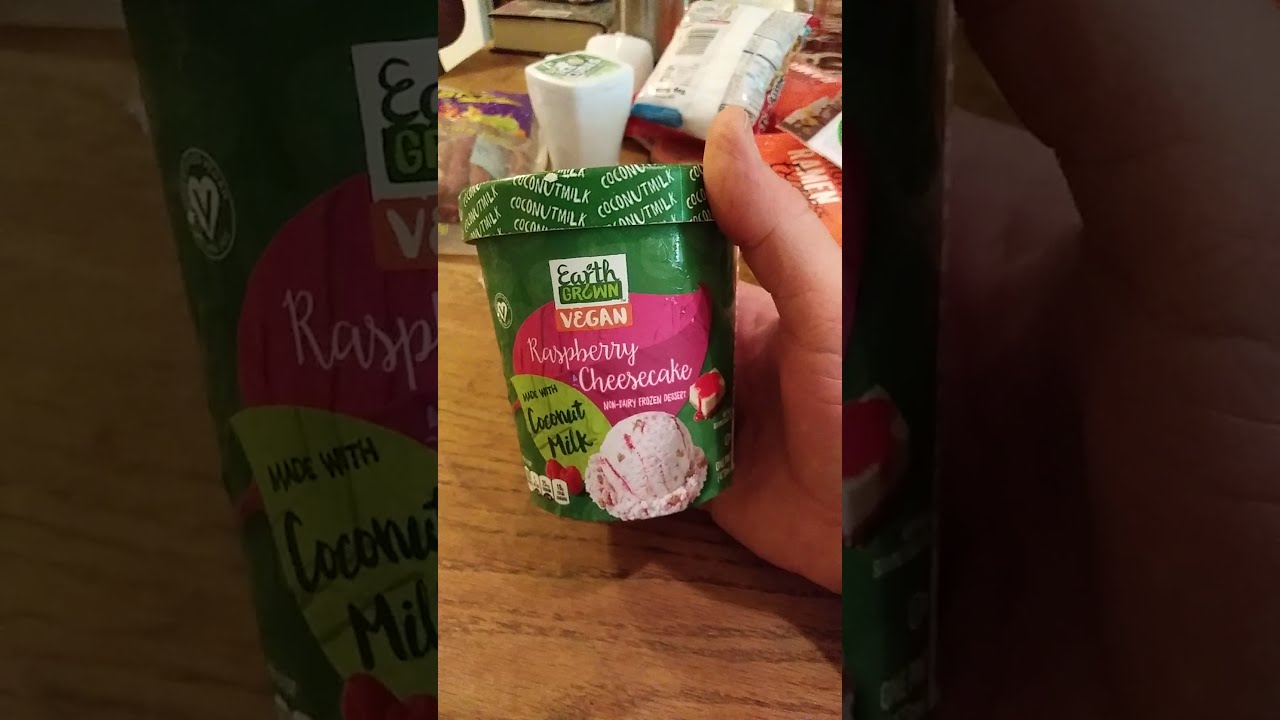 Earth Grown Vegan Raspberry Cheesecake Non Dairy Frozen Dessert Review