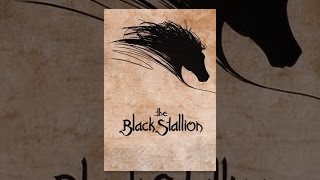 The Black Stallion
