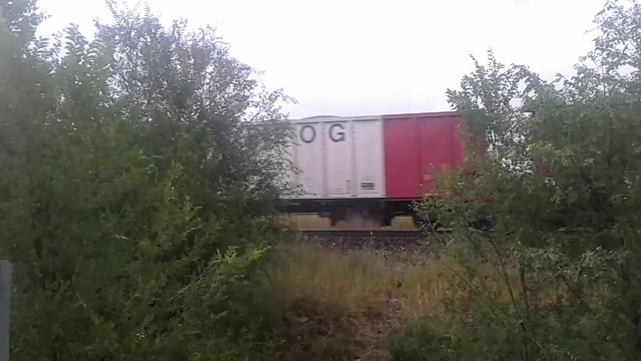 UNION PACIFIC bethgon coalporter train