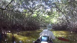 Canoe Trail Trip Everglades Natl Park
