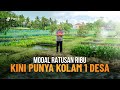 Cara budidaya ikan gurame di rumah hanya dengan lahan sempit bisa makmurkan 1 desa