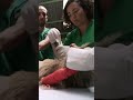 Rescuing sloths from near-fatal injuries #shorts