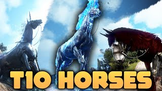 All T10 Horses - Thoughts, Updates, Tips Black Desert Online