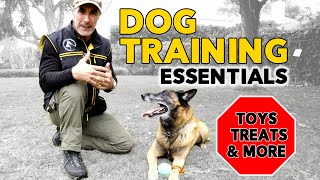 The Most Important Things You Need to Train Your DOG or Puppy