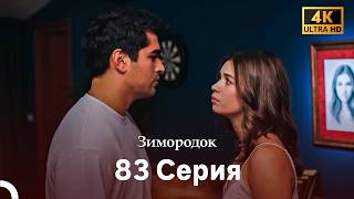 Зимородок 83 Cерия (Русский дубляж) (4K)