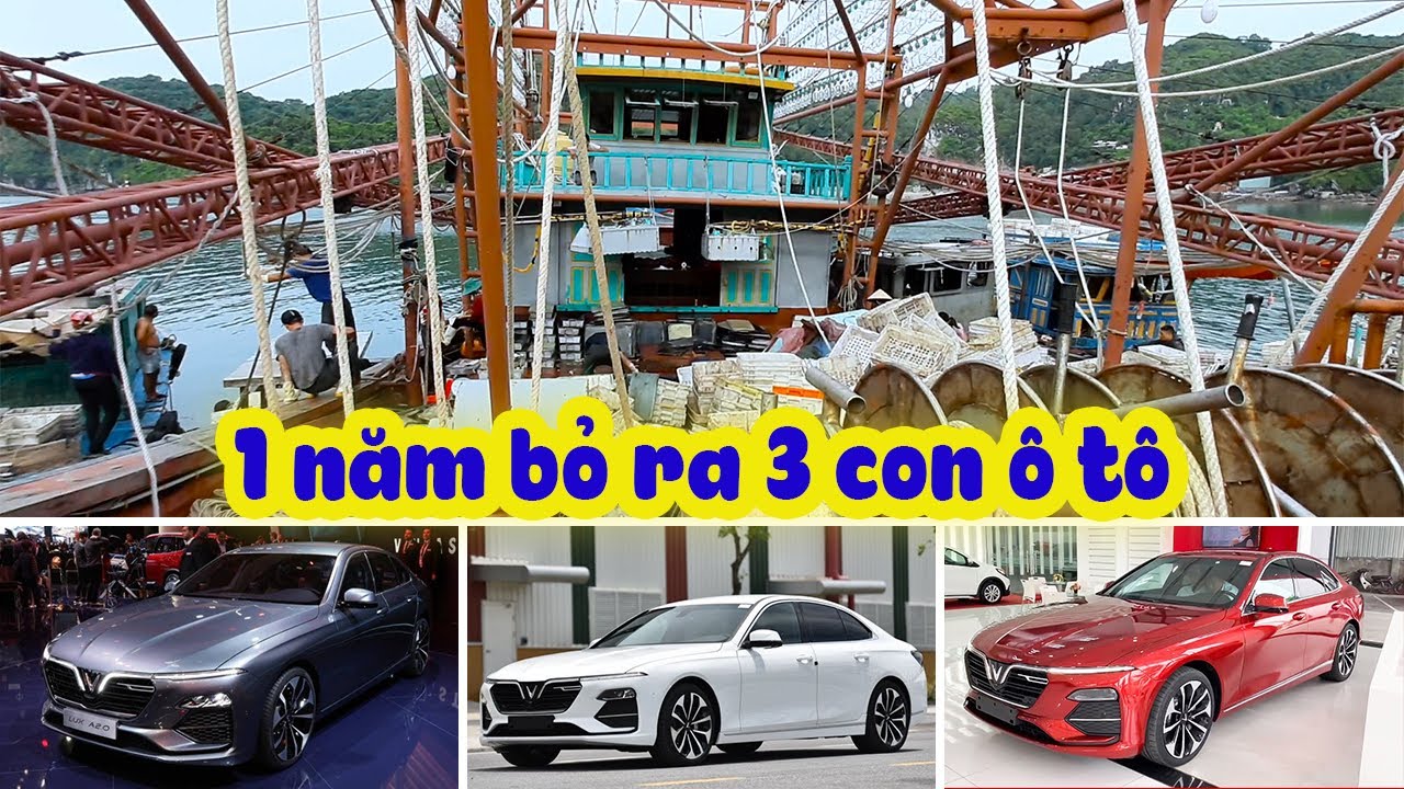 Một năm bỏ 4 tỷ cho nghề biển | ngư dân hải phòng