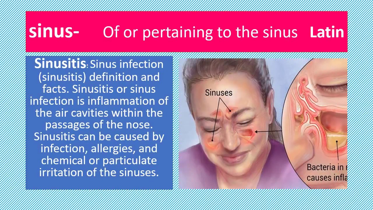MEDICAL TERMS [ S ] PREFIXES, ROOTS, SUFFIXES YouTube