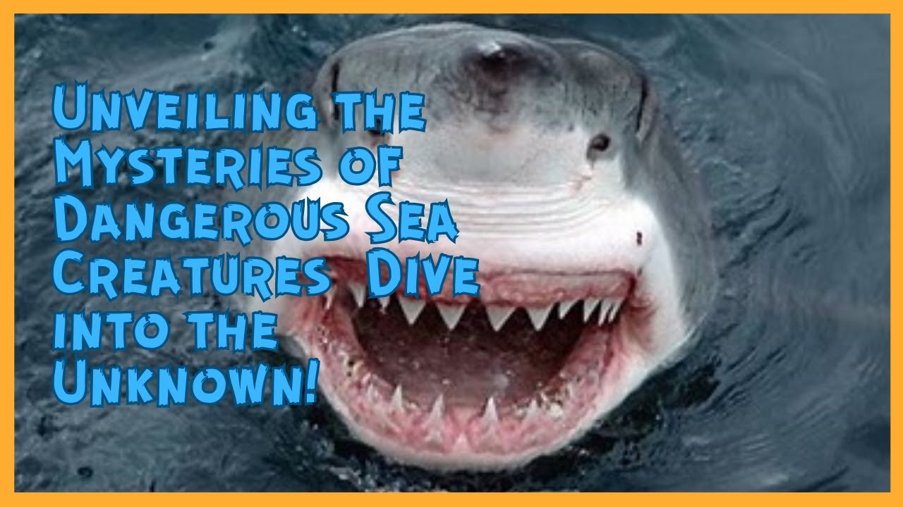 Unmasking the Secrets: Dive into the Unknown World of Dangerous Sea Creatures