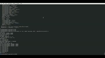NodeJS Compiled To Wasm and running with Wasmer