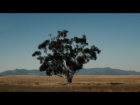 Twisted Thoughts | Mount to Coast