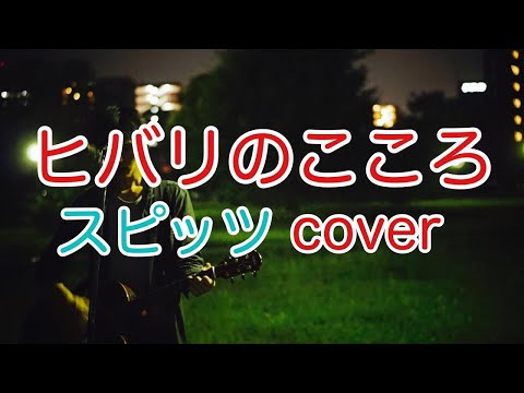 ヒバリのこころ　スピッツ（spitz）　弾き語り　カバー／浅井しんや