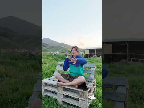 Gretel — Wildflower traveller testimonial
