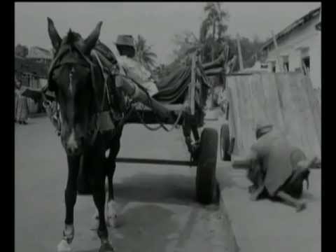 The Wagoner trailer