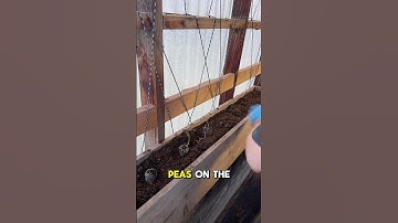 I Bought a House with a GIANT Greenhouse… and It Was DISGUSTING 🧼🌱 | Day 1 of the Rebuild #garden