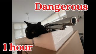 Dangerous - 1 hour