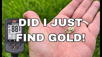 Park Metal Detecting with the Minelab Manticore. Did I Just Find Gold?