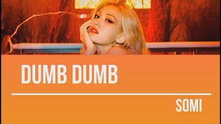 SOMI - DUMB DUMB (LYRICS & COVER)