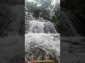 epdi oru falls ah Tenkasi la😱 #viral #travel #tamil #waterfall #automobile #tenkasi #nature #travel