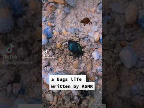 a bugs life ASMR Short.