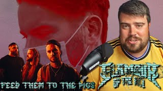 Glamour Of The Kill - Feed Them To The Pigs - Reaction