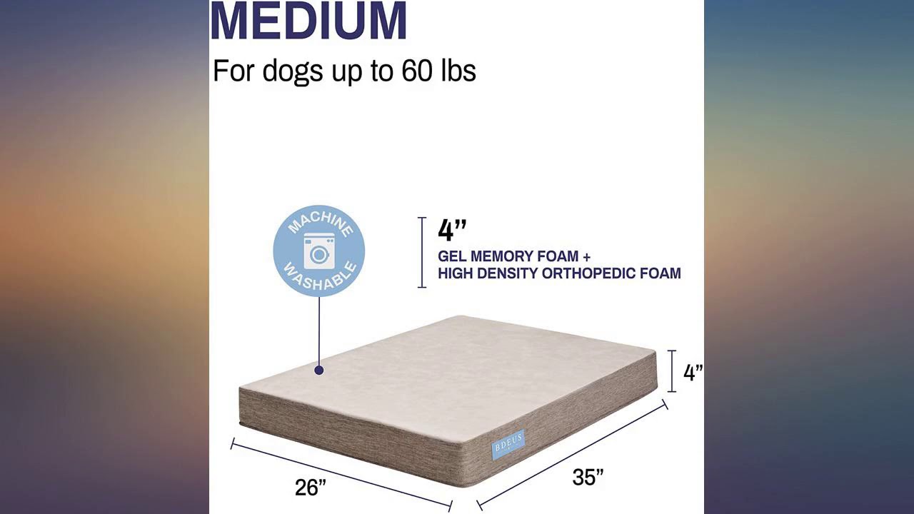 BDEUS Orthopedic Gel-Infused Memory Foam Dog Bed for Large Dogs, Plush Pet Bed review