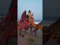 puri # riding on camel # shorts # sea beach # Mayukh&#39;s spare time